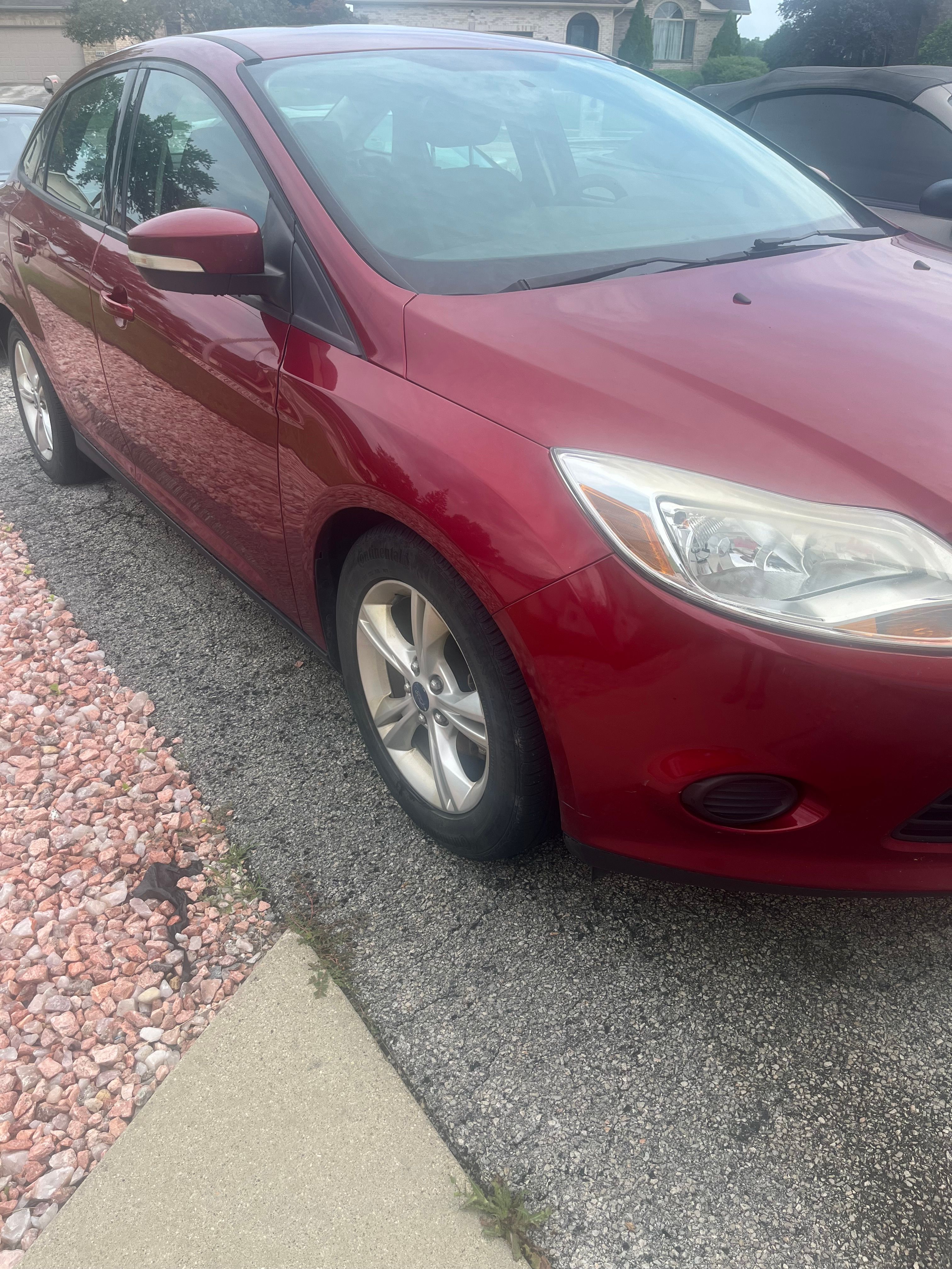 Used 2014 Ford Focus SE w/ SE Winter Package FWD image 1