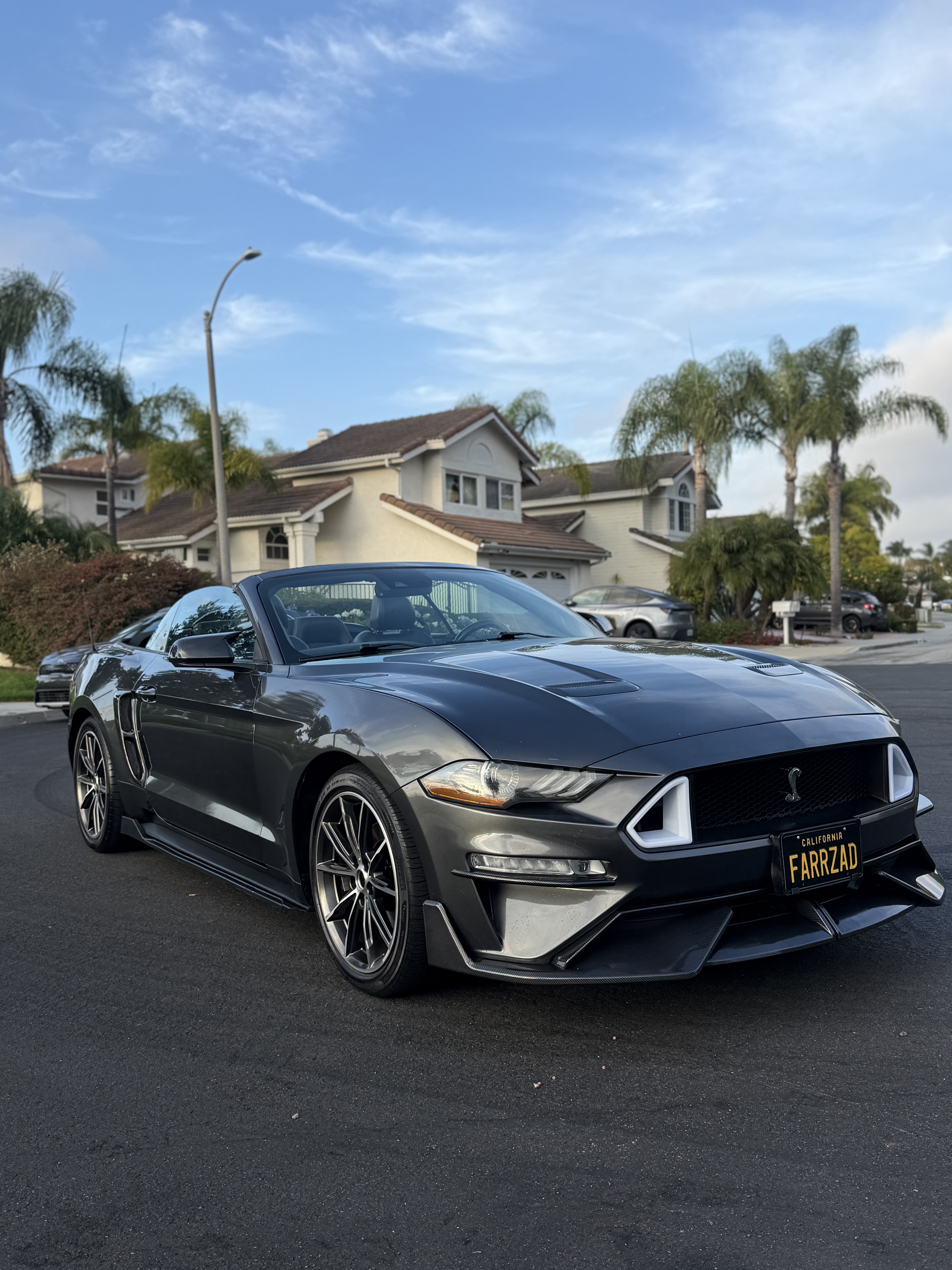 Used 2019 Ford Mustang Premium w/ Equipment Group 201A RWD image 11