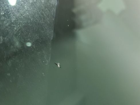 Used 2012 Volkswagen Golf 4-Door image 16