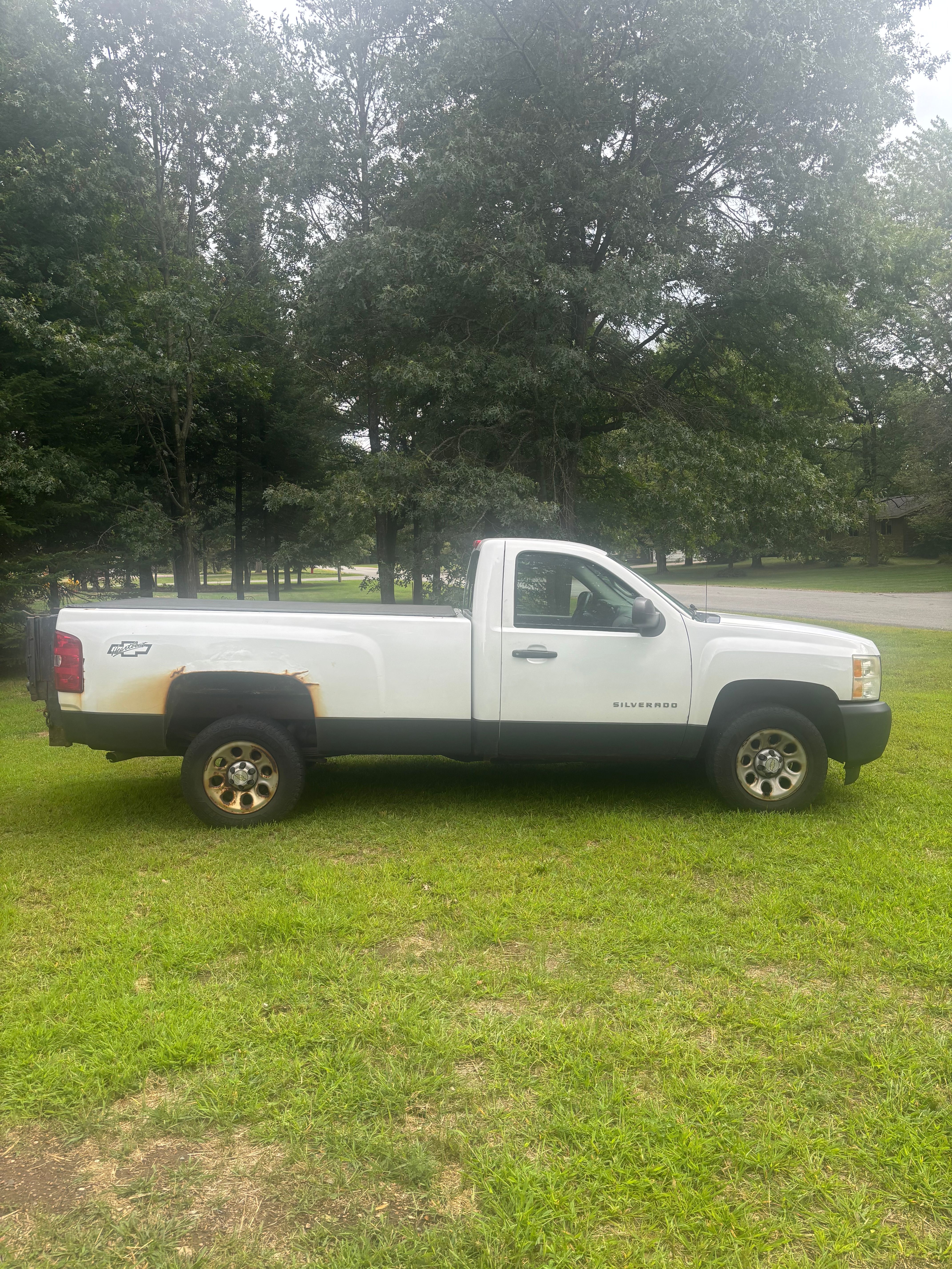 Used 2009 Chevrolet Silverado 1500 W/T RWD image 2