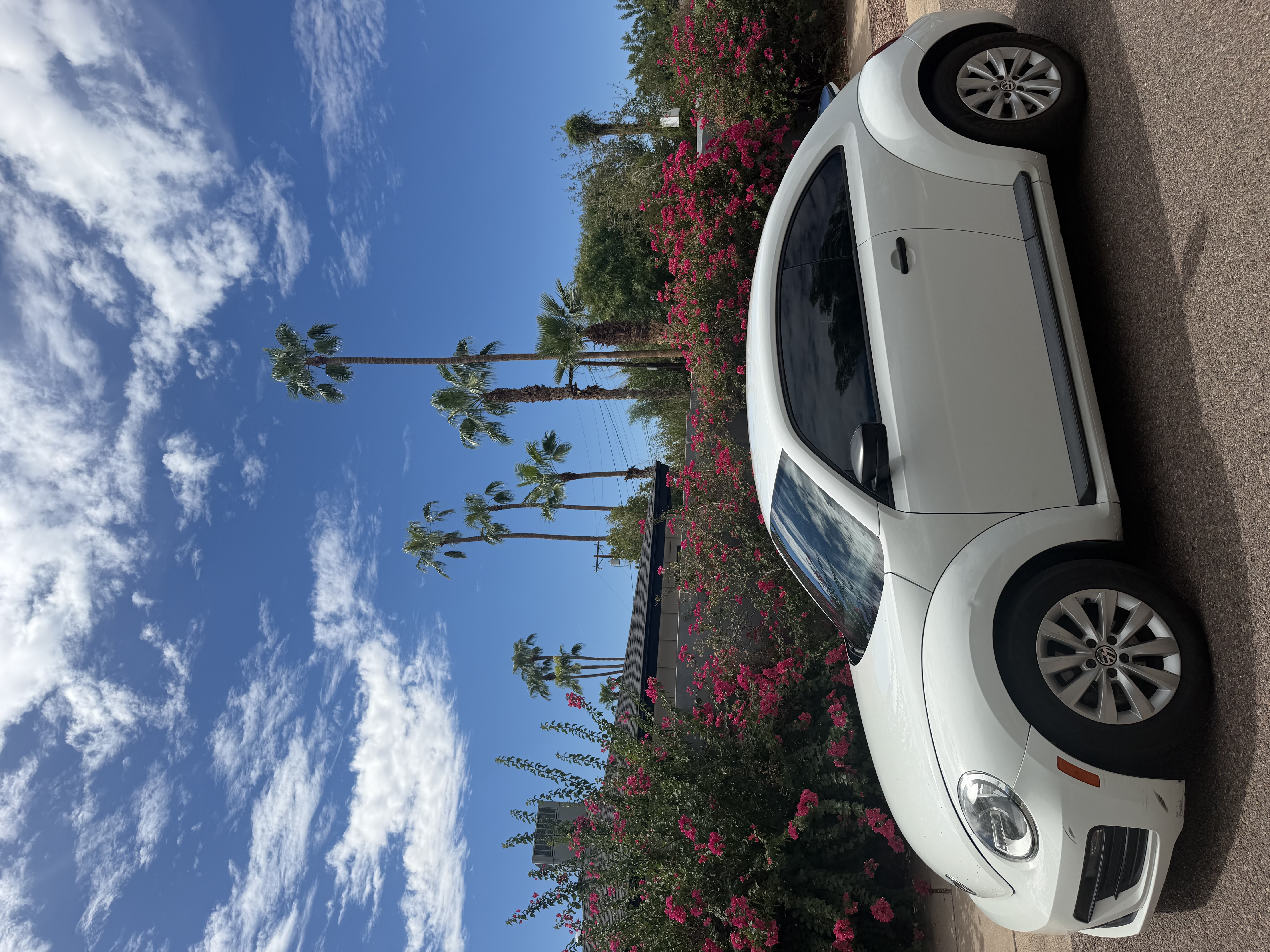 Used 2017 Volkswagen Beetle 1.8T S FWD image 2