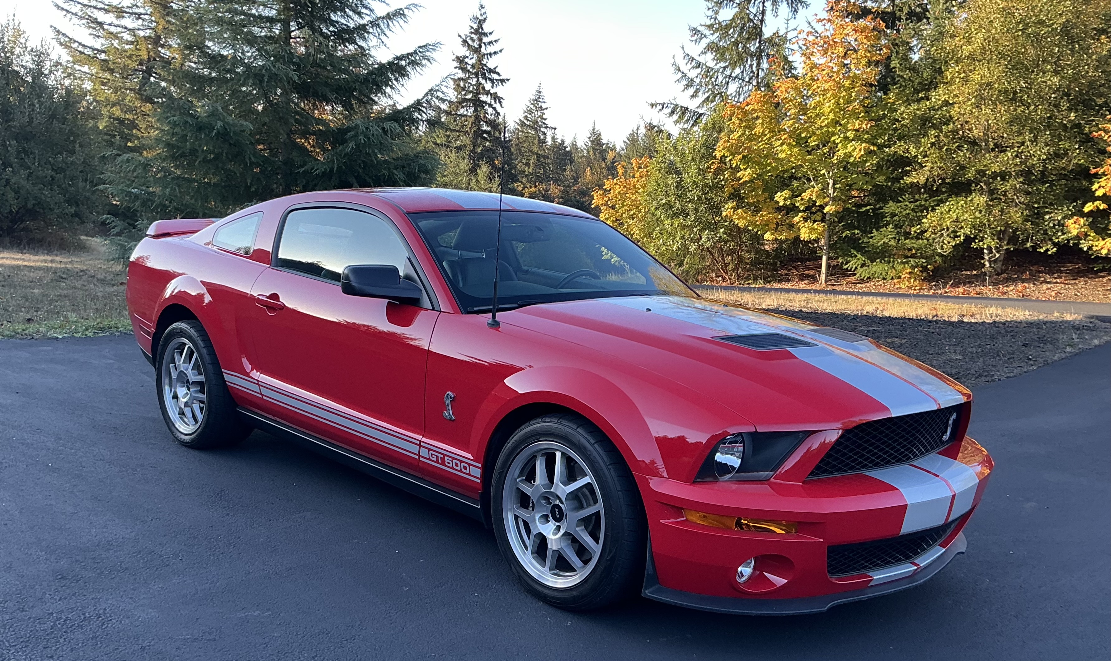 Used 2007 Ford Mustang Shelby GT500 RWD image 4