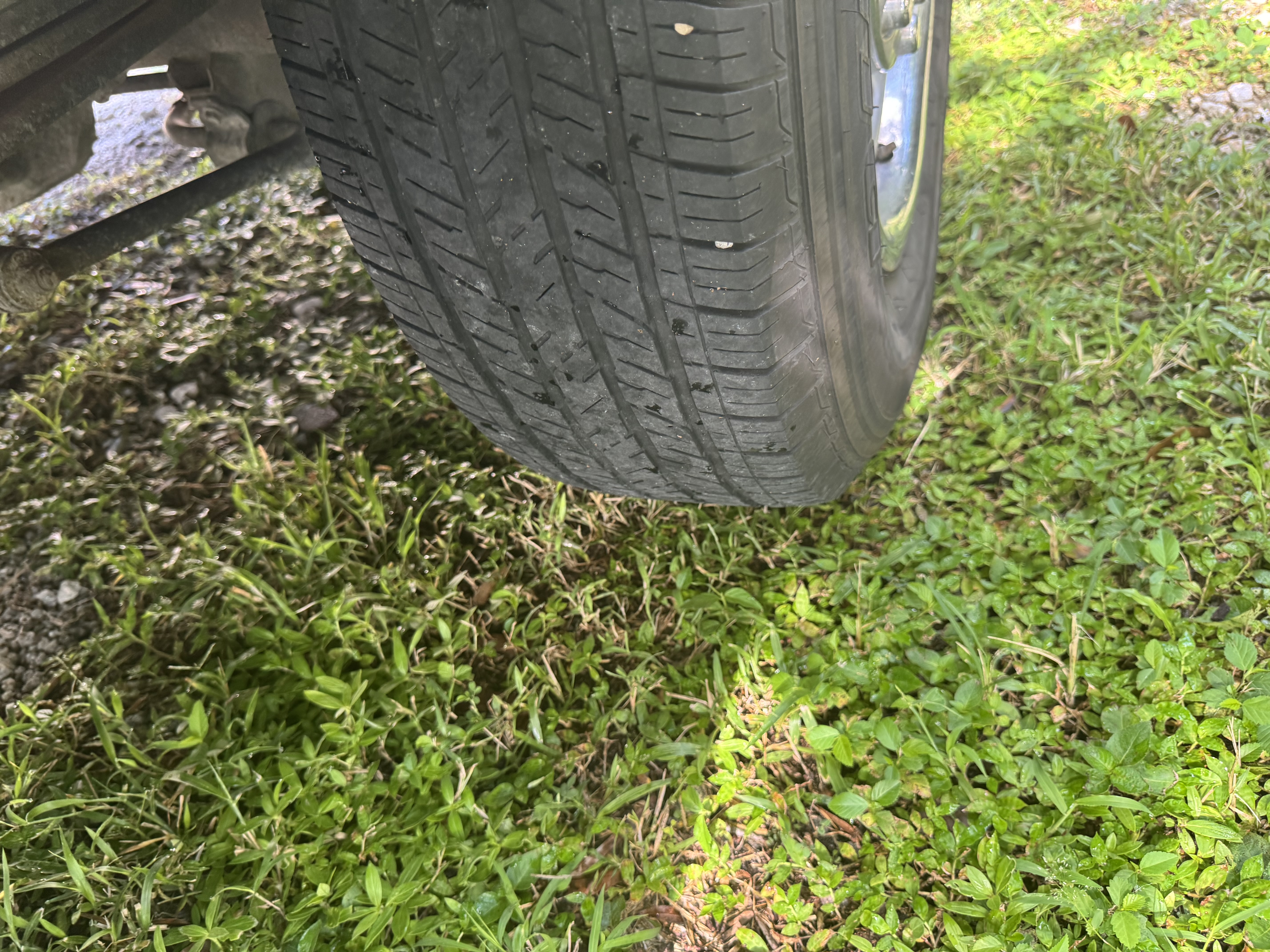 Used 2010 Ford F250 XL RWD image 11