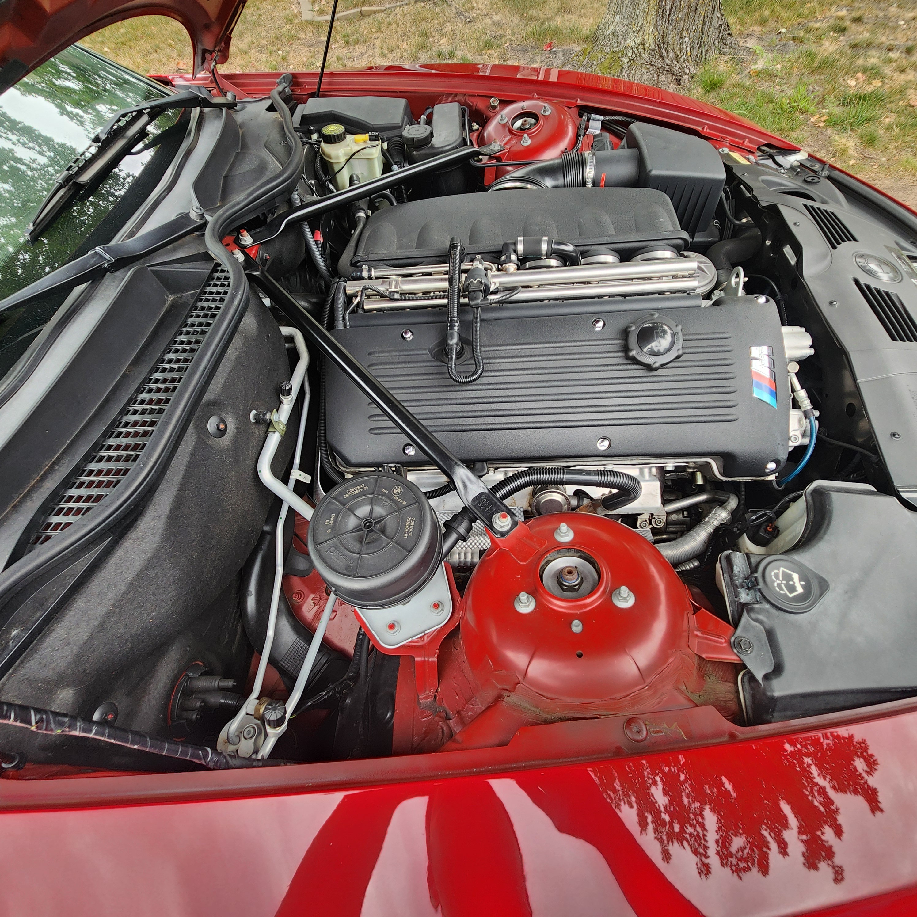 Used 2006 BMW M Roadster RWD image 12