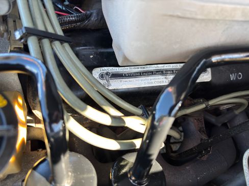 Used 1994 Ford Mustang Cobra image 16