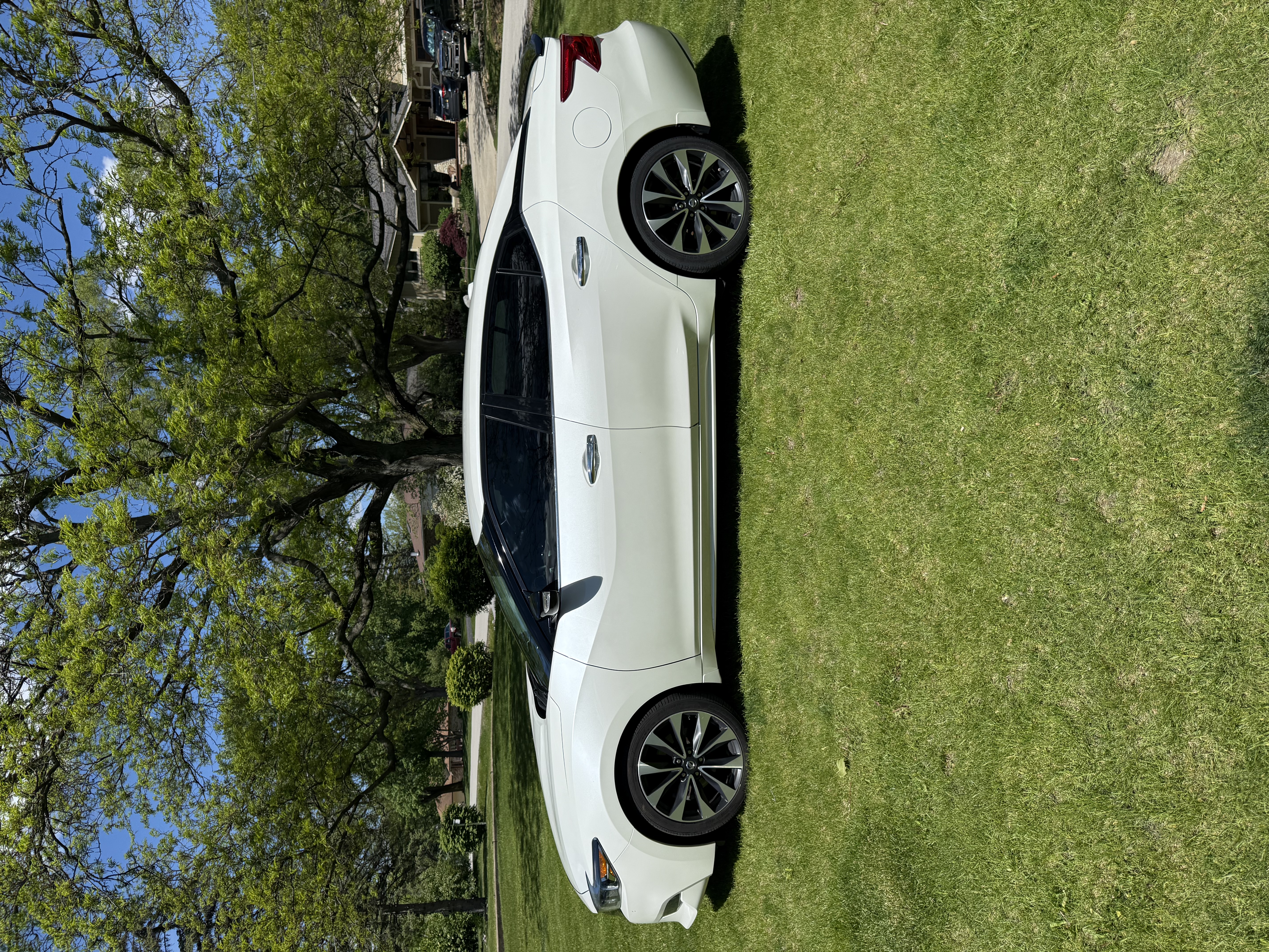 Used 2017 Nissan Maxima SR FWD image 1