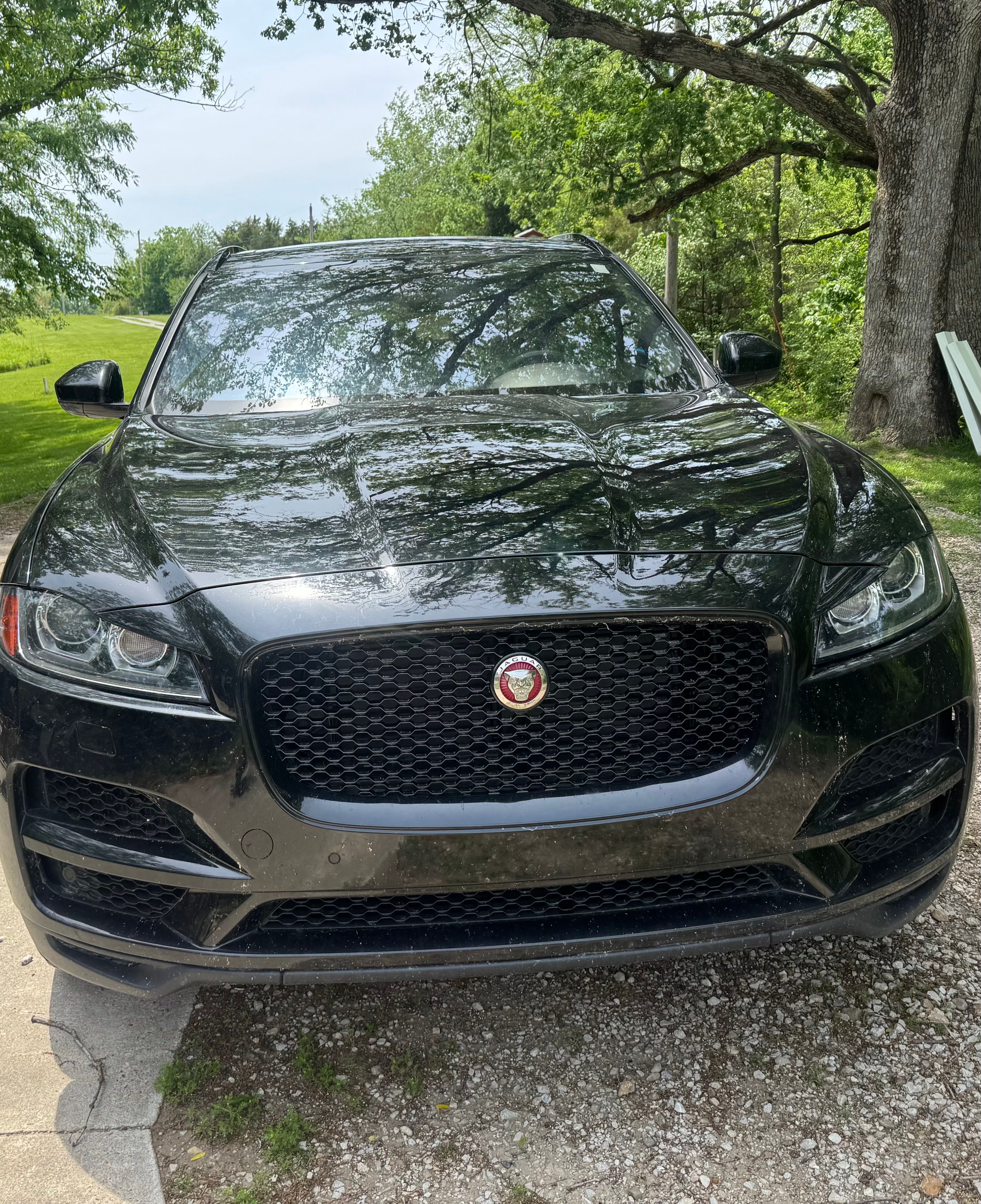 Used 2018 Jaguar F-PACE Premium AWD/4WD image 7
