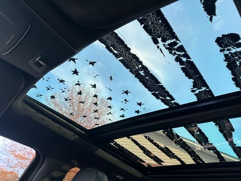 Used 2016 Ford F150 XLT w/ Equipment Group 302A Luxury image 17