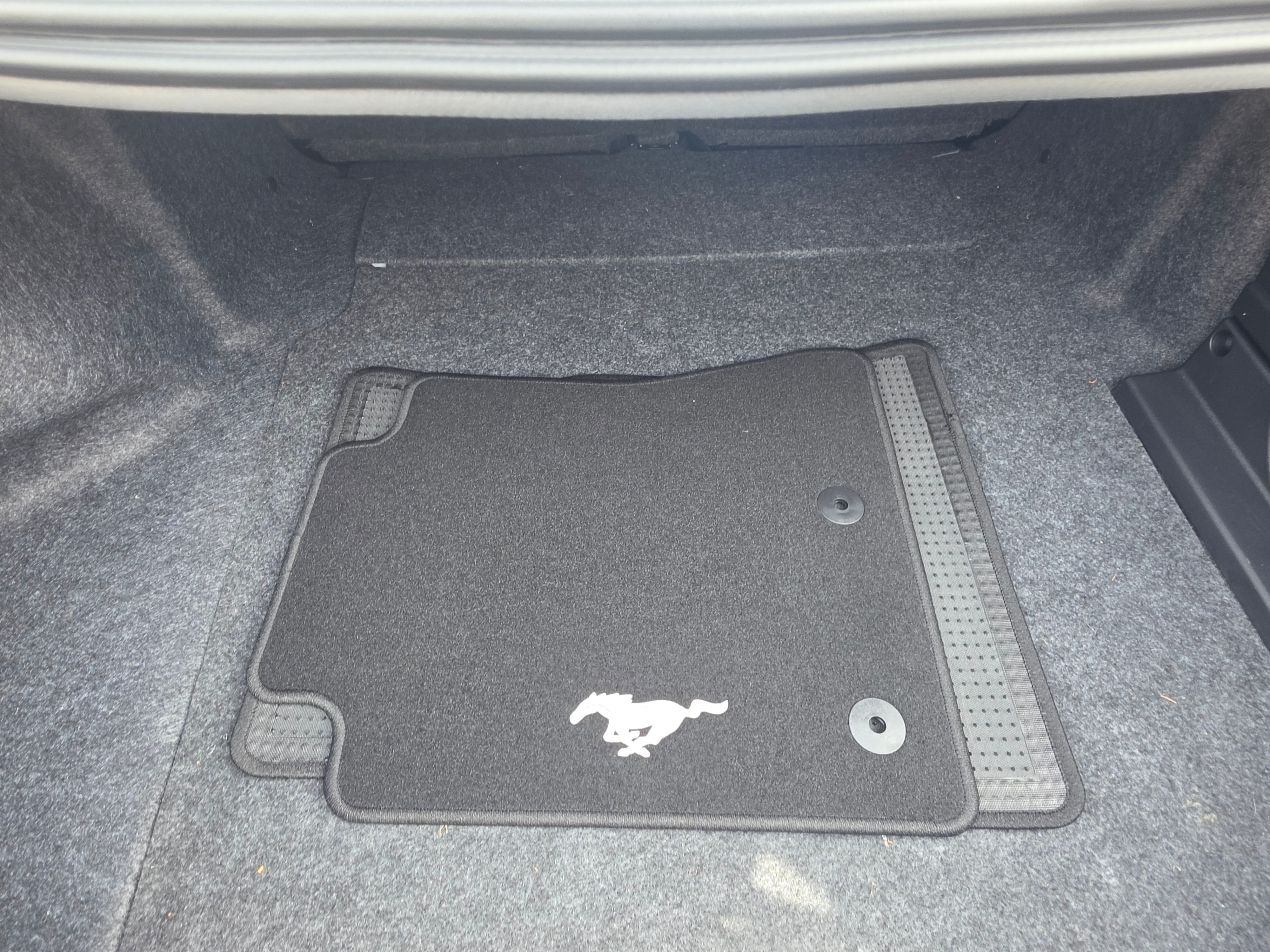 Used 2015 Ford Mustang 50 Years RWD image 18