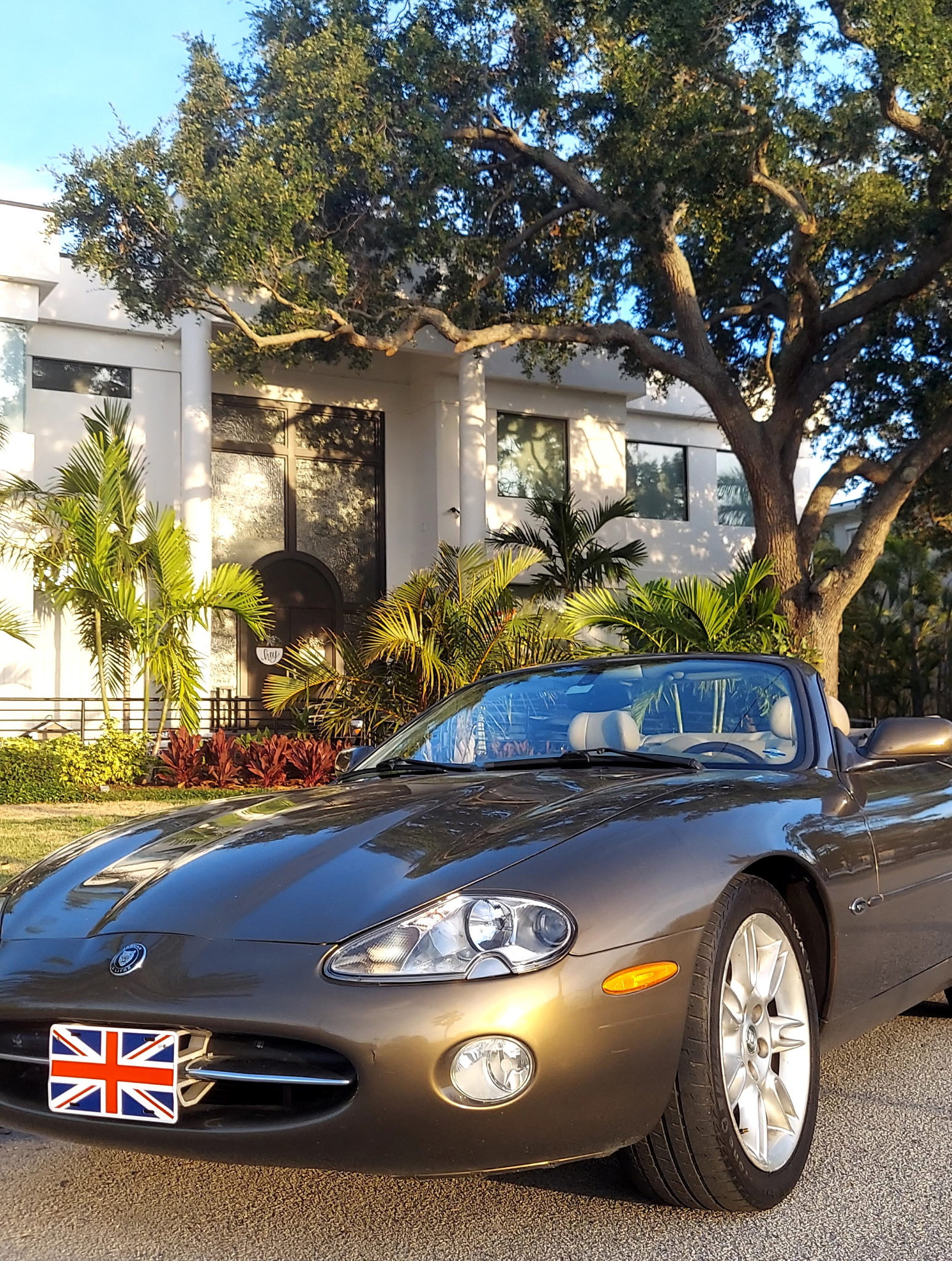 Used 2001 Jaguar XK8 Convertible RWD image 5