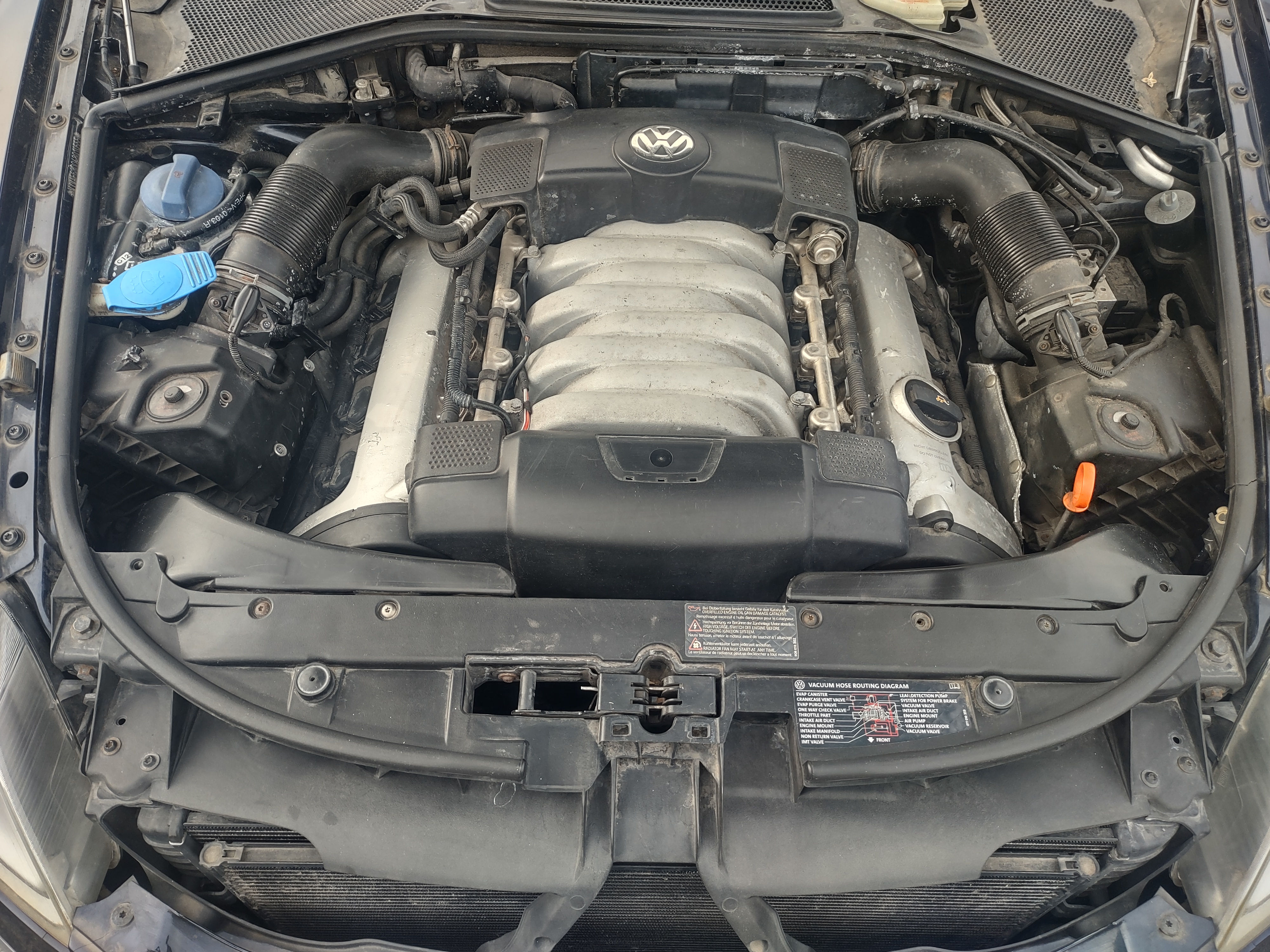 Used 2004 Volkswagen Phaeton V8 AWD/4WD image 8