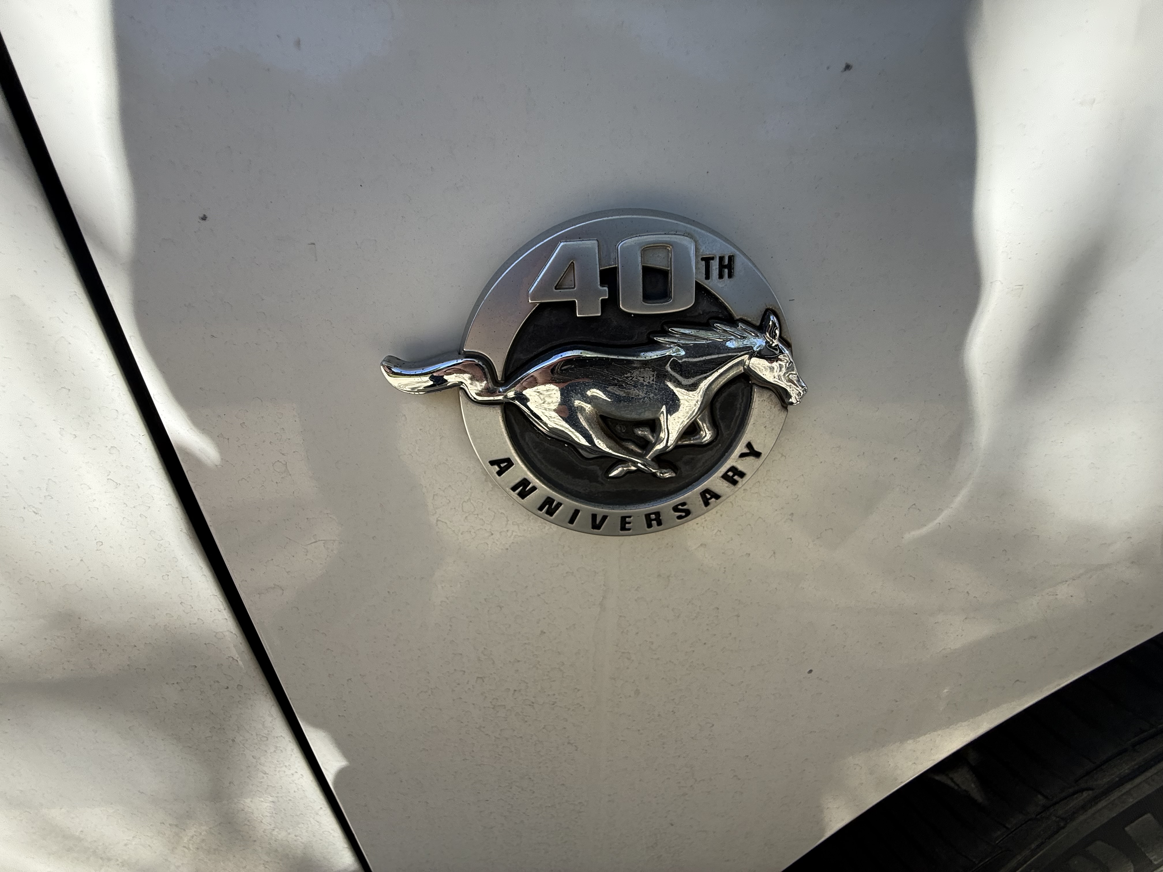 Used 2004 Ford Mustang Coupe RWD image 5