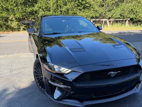 Used 2019 Ford Mustang Coupe RWD image 8