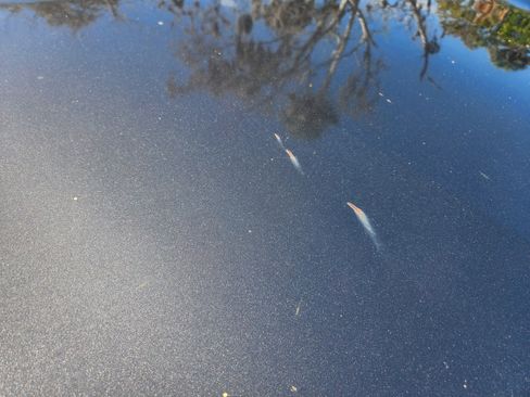 Used 2018 Toyota RAV4 SE w/ Power Extra Value Package image 10