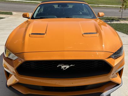 Used 2019 Ford Mustang Premium w/ Equipment Group 201A