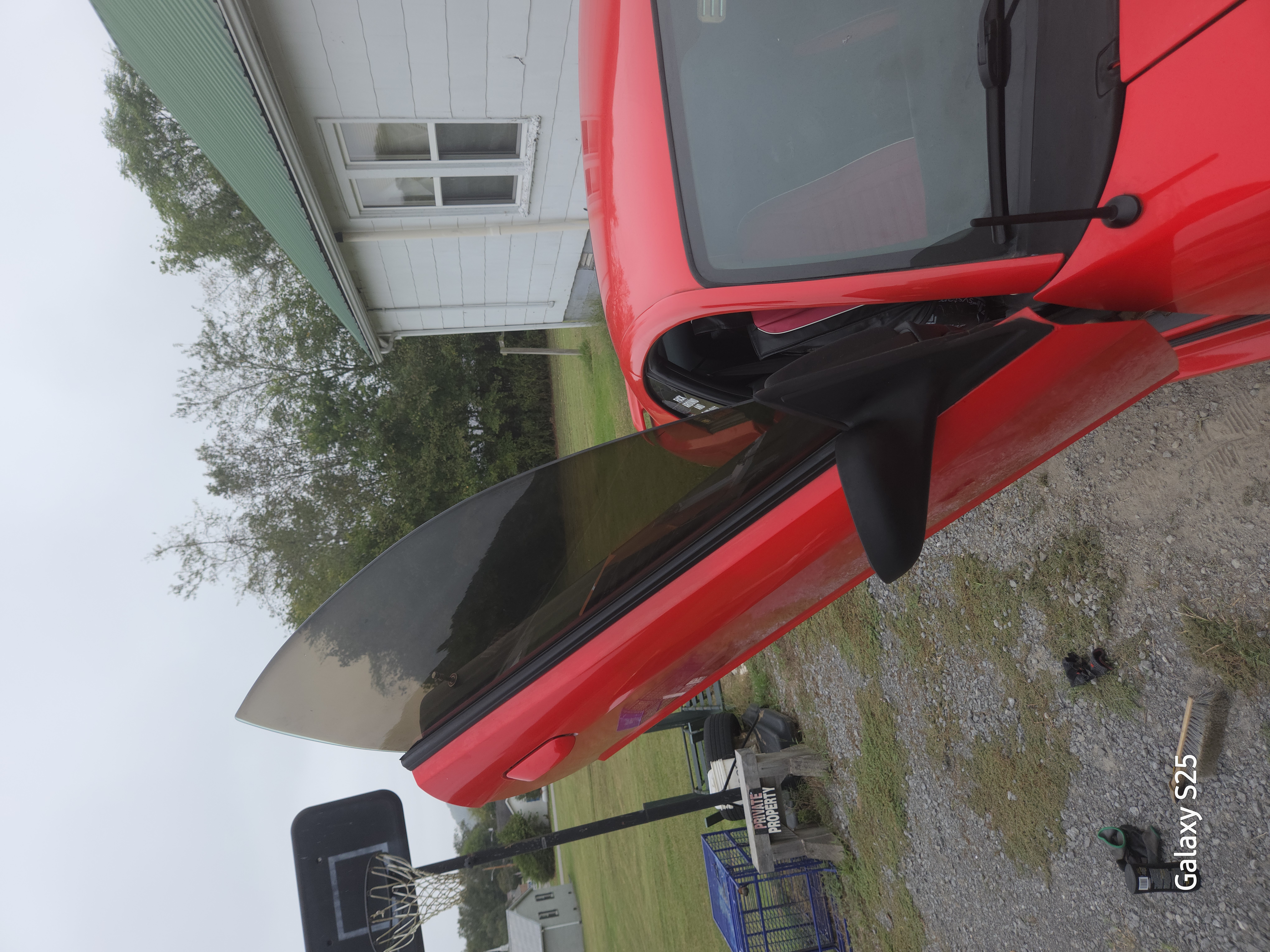 Used 2001 Ford Mustang Cobra RWD image 14