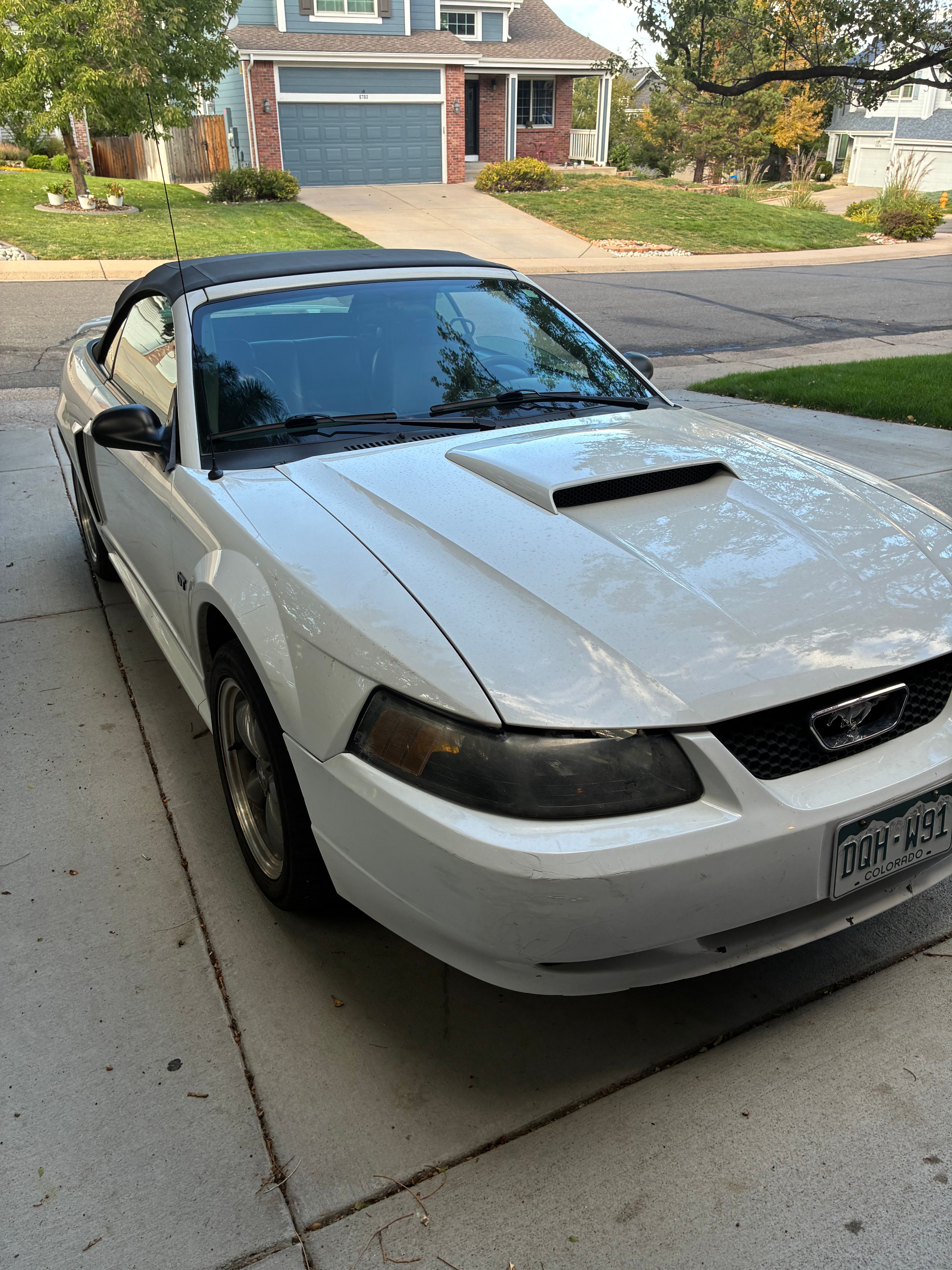 Used 2002 Ford Mustang GT Premium RWD image 2