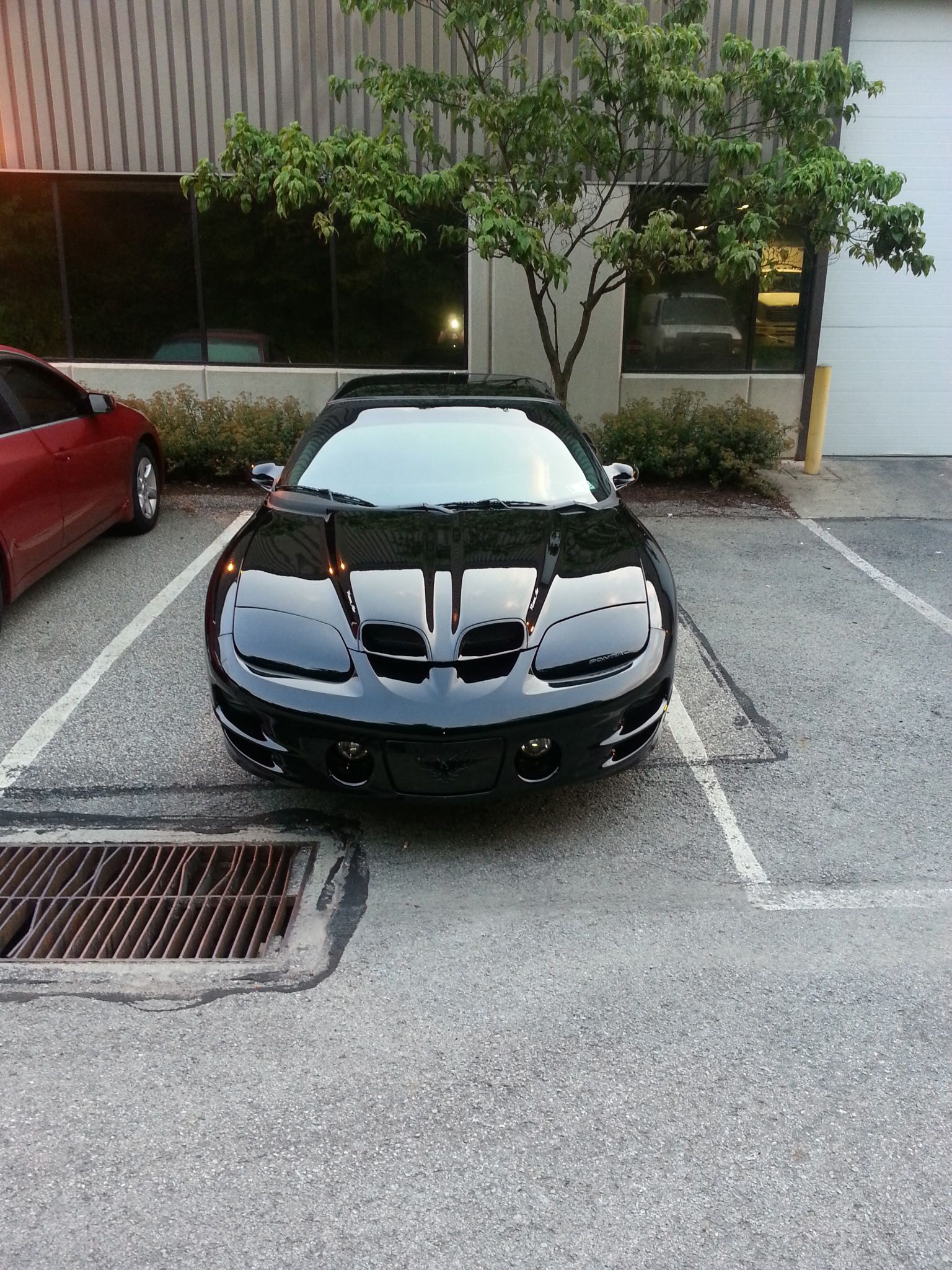 Used 2000 Pontiac Firebird Formula RWD image 8