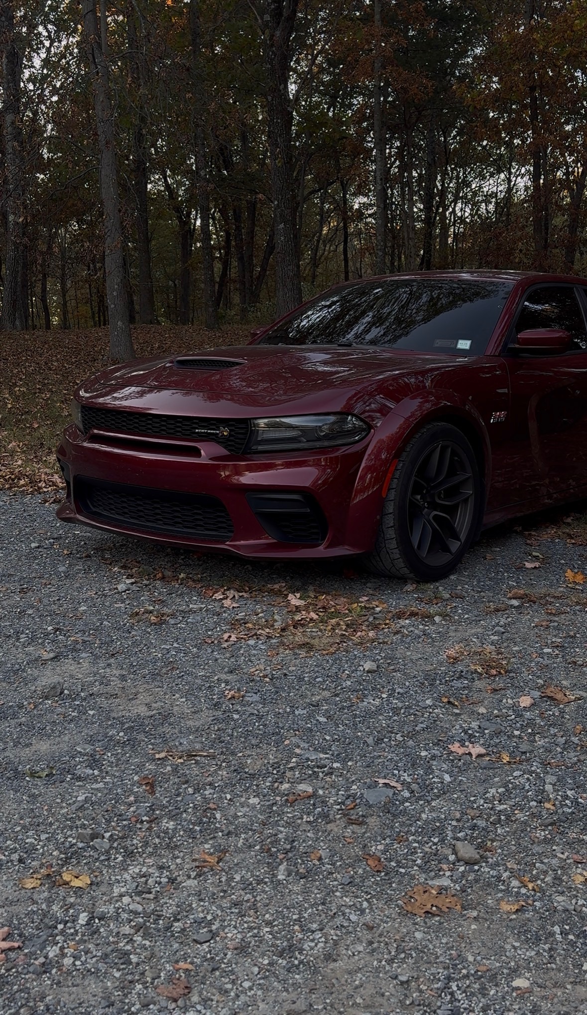 Used 2021 Dodge Charger Scat Pack RWD image 9