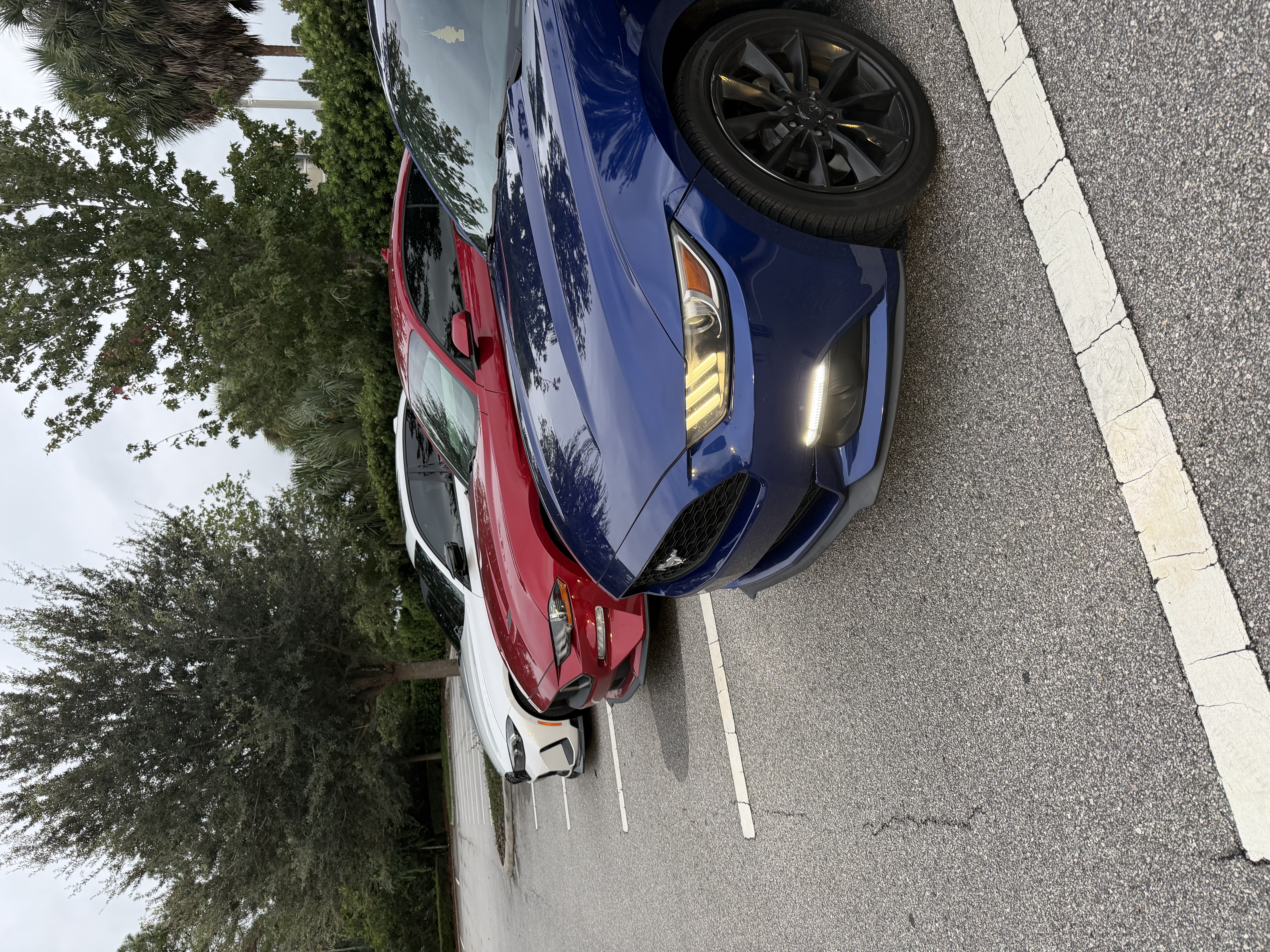 Used 2016 Ford Mustang Coupe w/ Interior & Wheel Package RWD image 4