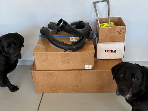 Used 2017 Porsche 911 Carrera image 23