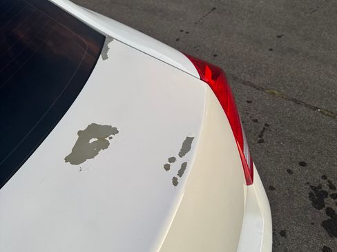 Used 2011 Honda Accord EX image 8