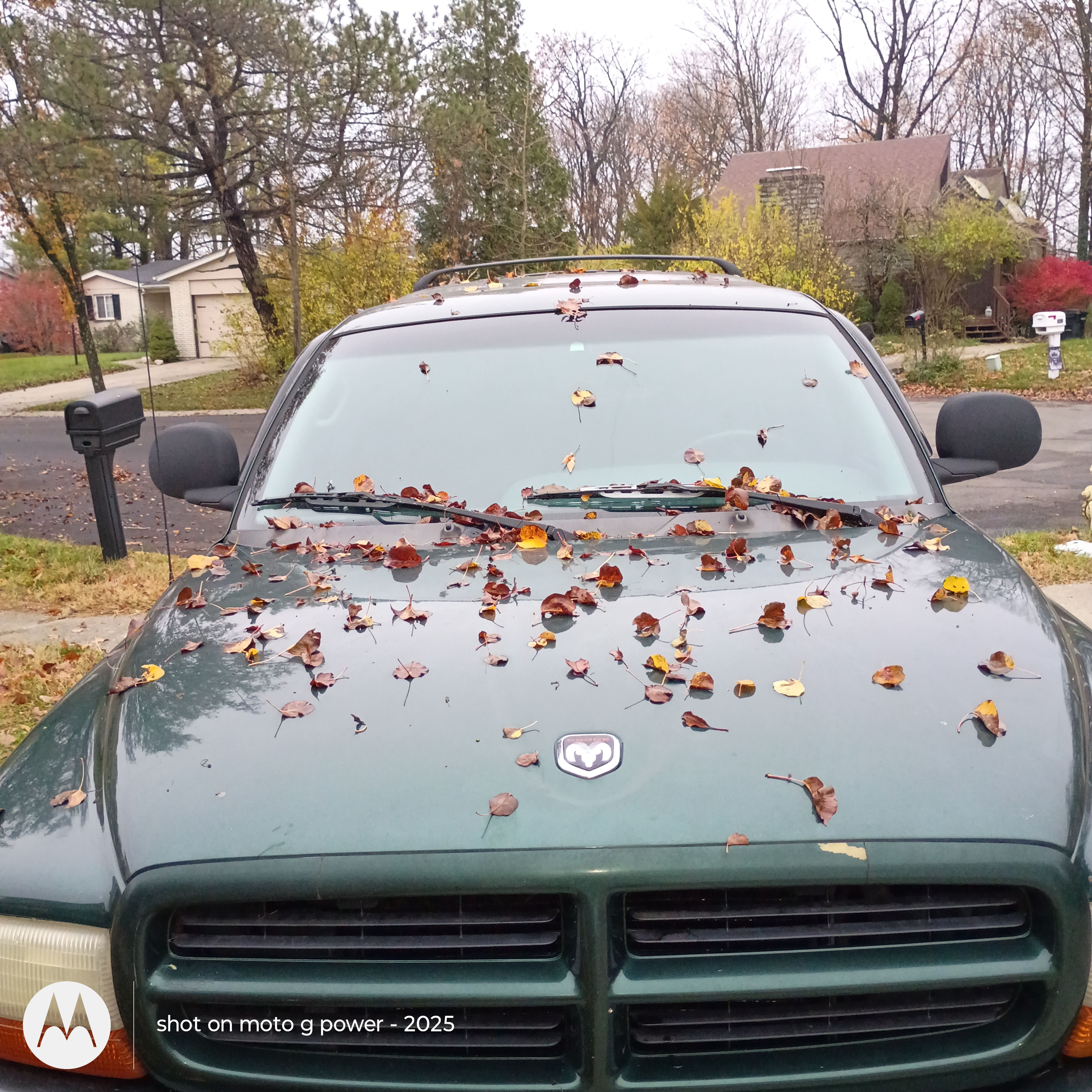 Used 1999 Dodge Durango 4WD image 5