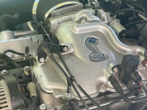 Used 2001 Ford Mustang Cobra RWD image 15