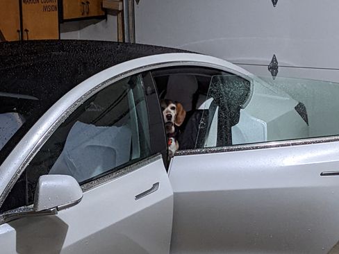 Used 2019 Tesla Model 3 Long Range image 13