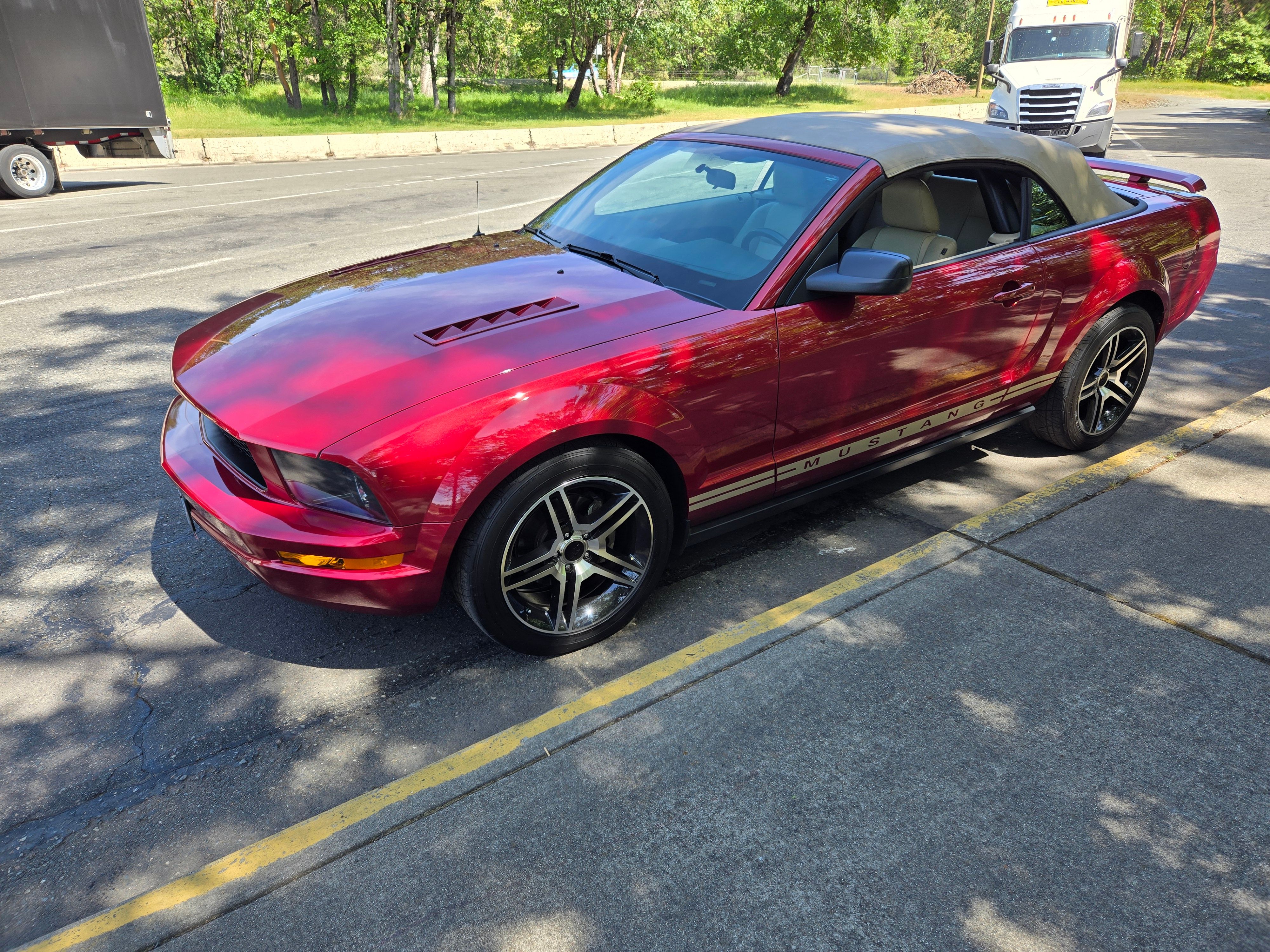Used 2005 Ford Mustang Premium RWD image 12