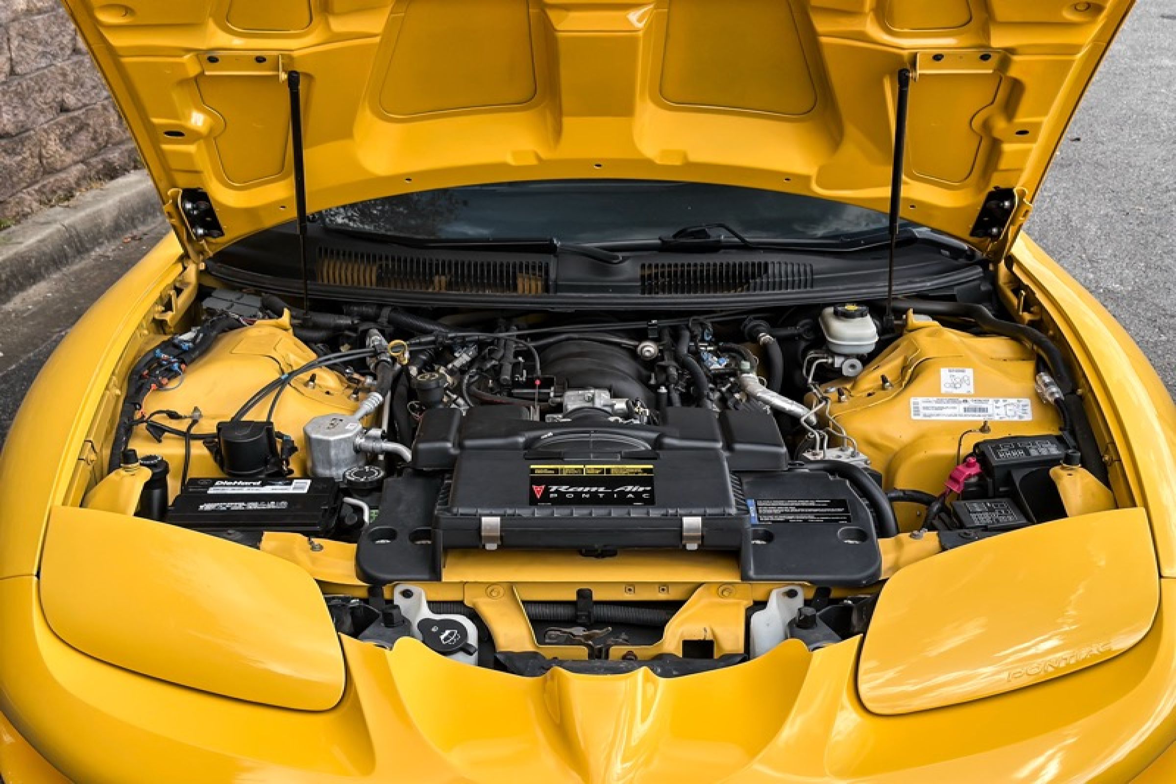 Used 2002 Pontiac Firebird Trans Am RWD image 13