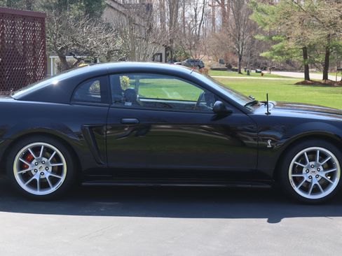 Used 1999 Ford Mustang Cobra image 6