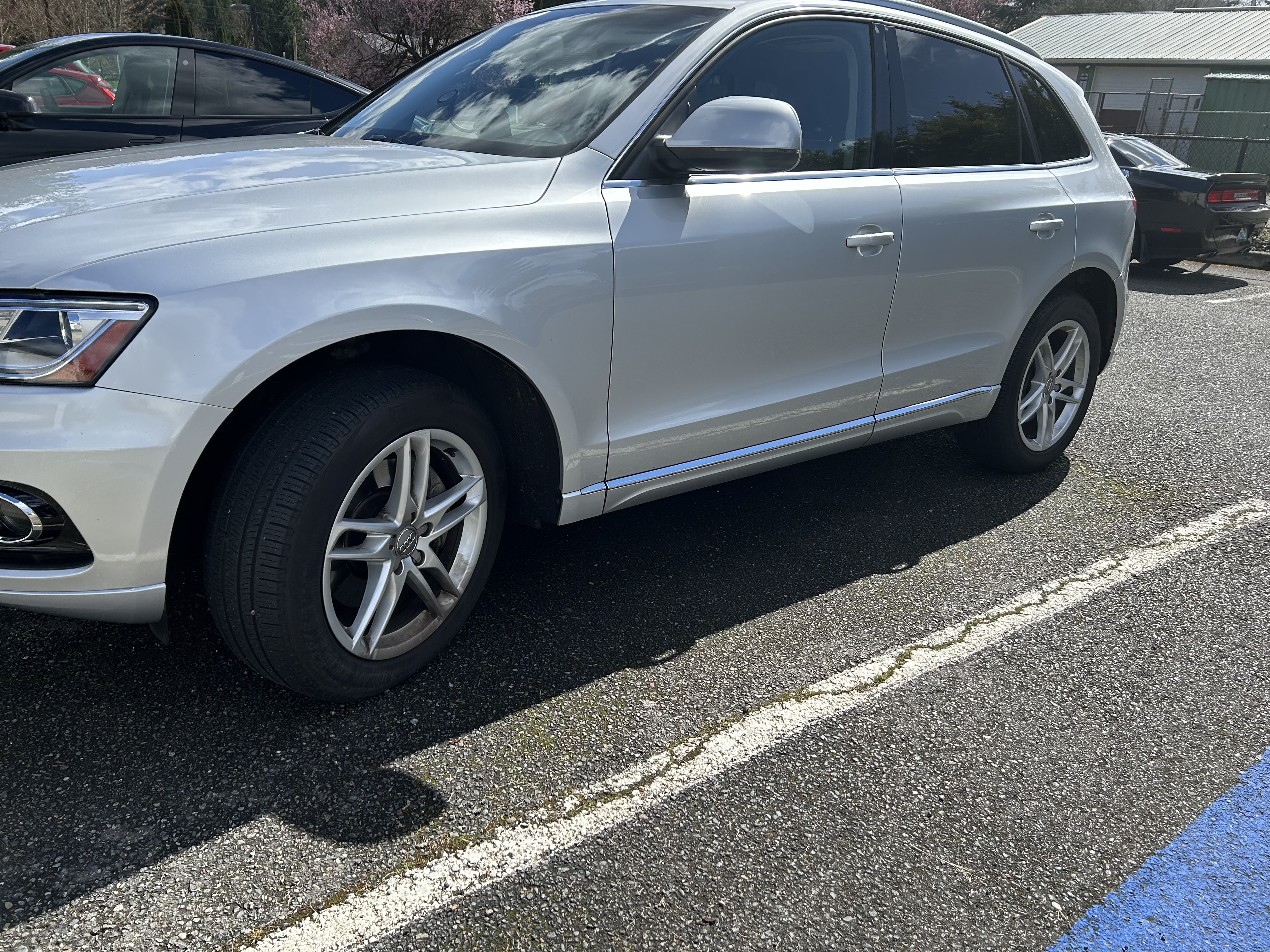 Used 2014 Audi Q5 TDI Premium Plus AWD/4WD image 2