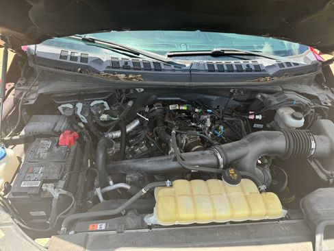 Used 2019 Ford F150 XLT w/ Equipment Group 302A Luxury AWD/4WD image 17