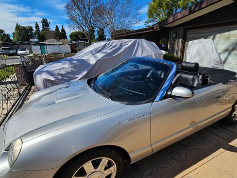 Used 2005 Ford Thunderbird Deluxe image 1