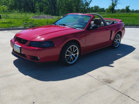 Used 1999 Ford Mustang Cobra RWD image 1