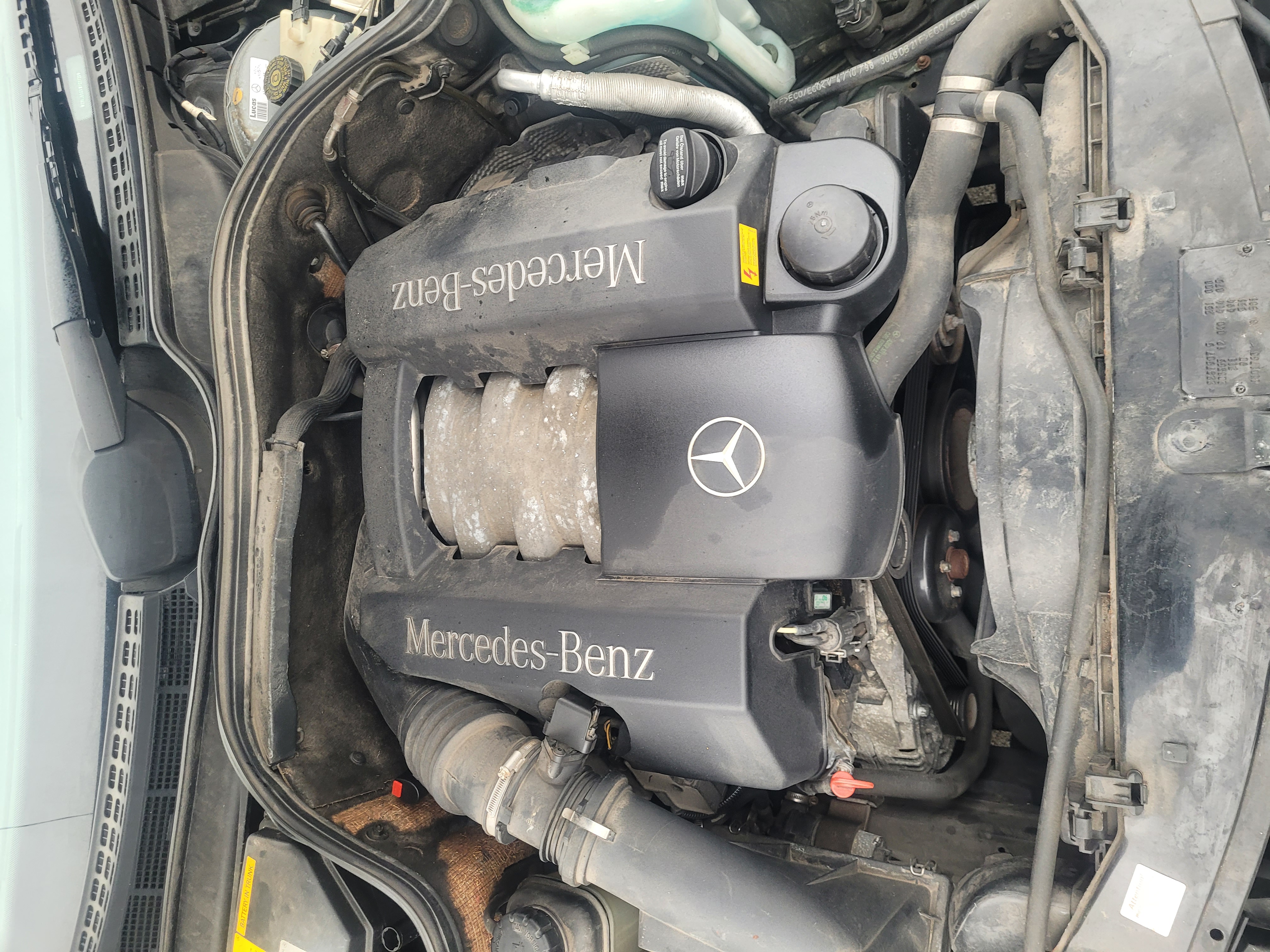 Used 1998 Mercedes-Benz CLK 320 Coupe image 14