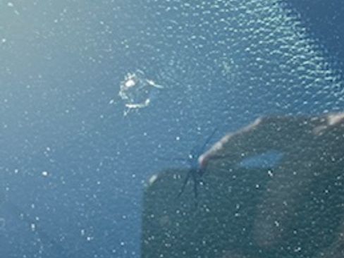 Used 2011 Ford Mustang Premium image 6