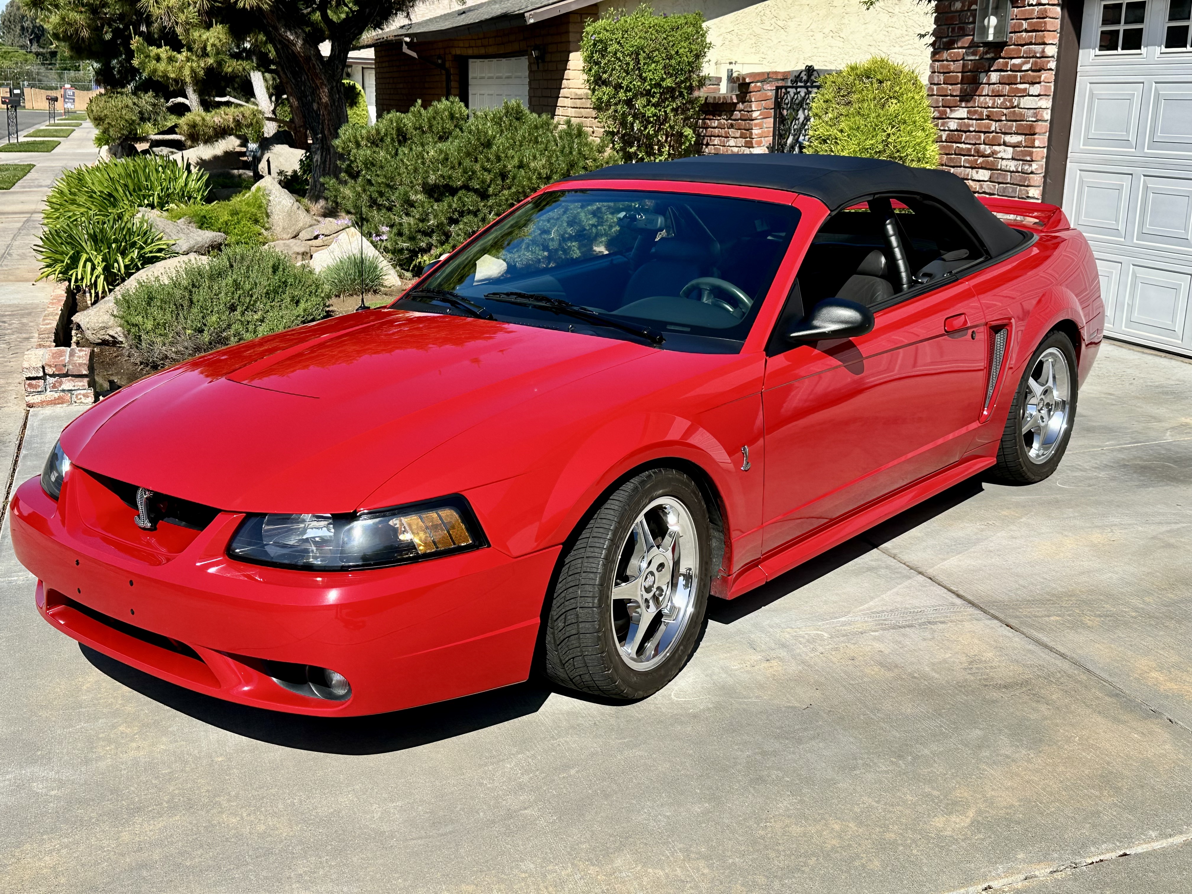 Used 1999 Ford Mustang Cobra RWD image 1