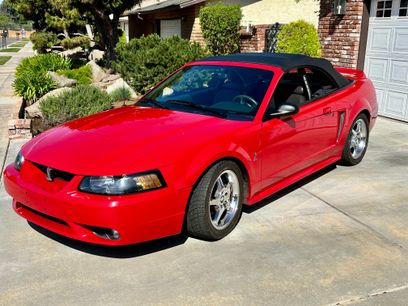 Used 1999 Ford Mustang Cobra
