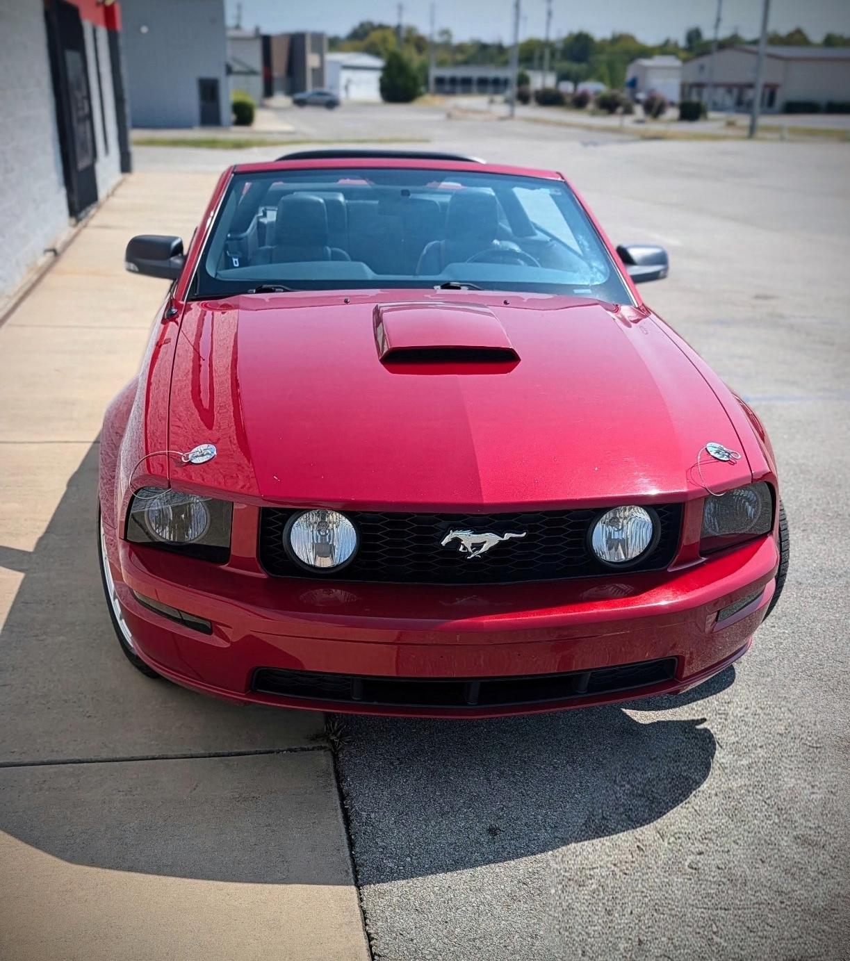 Used 2008 Ford Mustang GT Premium RWD image 4