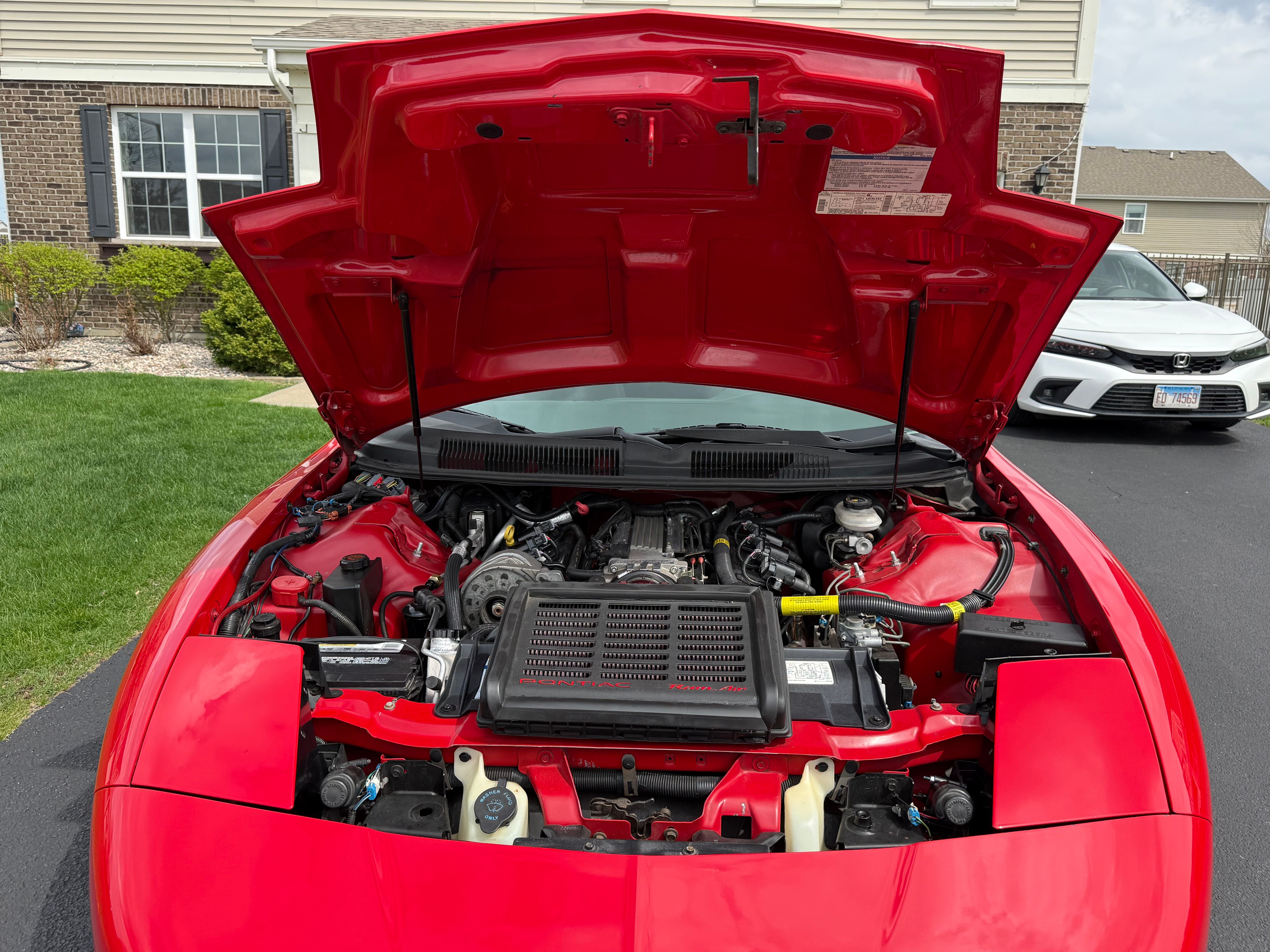 Used 1996 Pontiac Firebird Trans Am RWD image 5