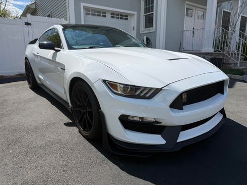 Used 2019 Ford Mustang Shelby GT350 w/ Technology Package image 11