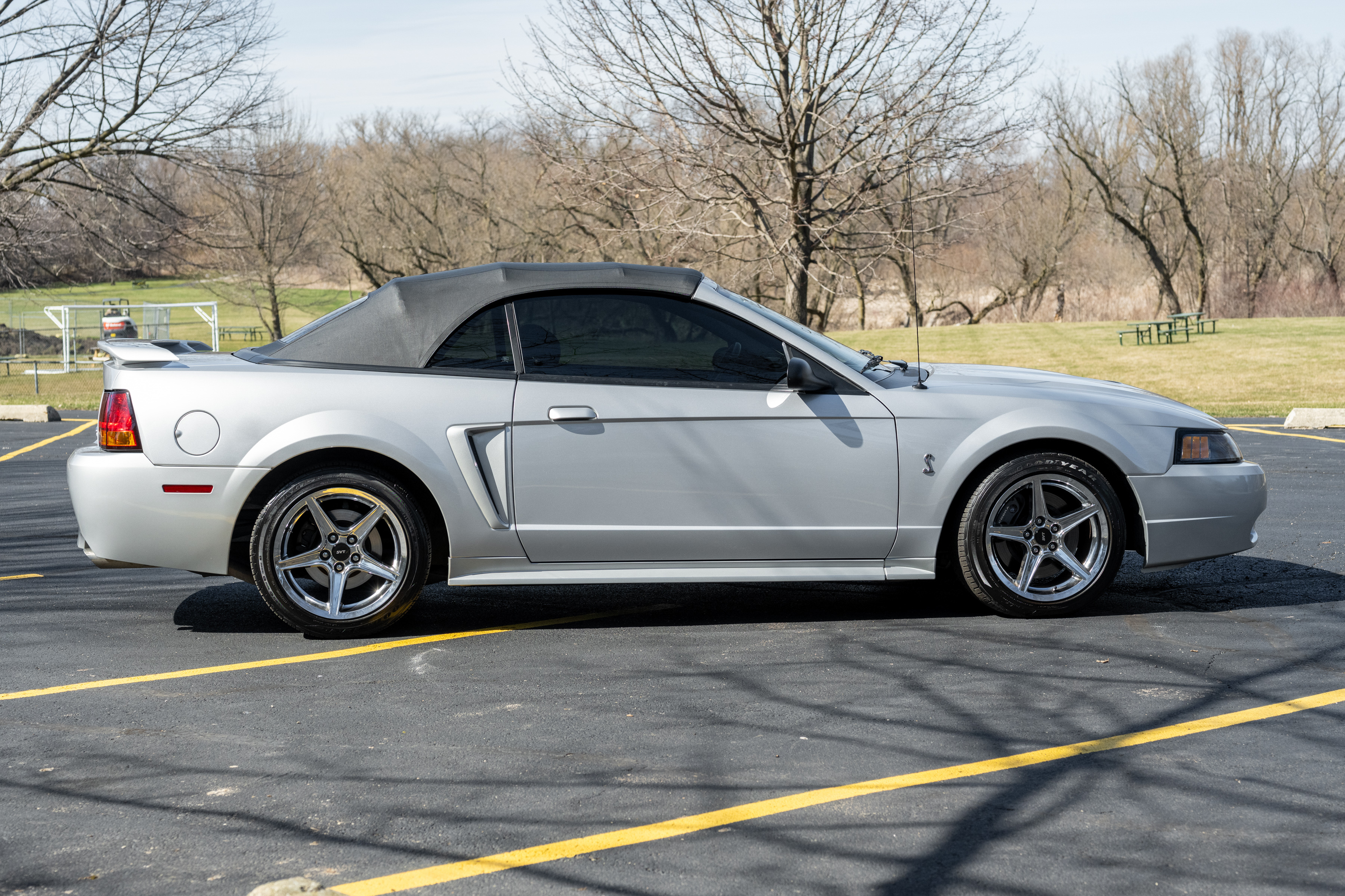 Used 2001 Ford Mustang Cobra RWD image 8