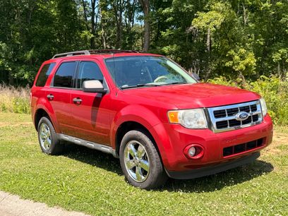 Used 2010 Ford Escape XLT