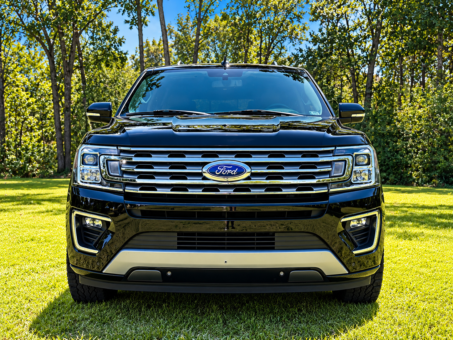Used 2020 Ford Expedition Max Limited RWD image 2
