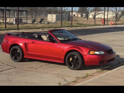 Used 2001 Ford Mustang Cobra image 1