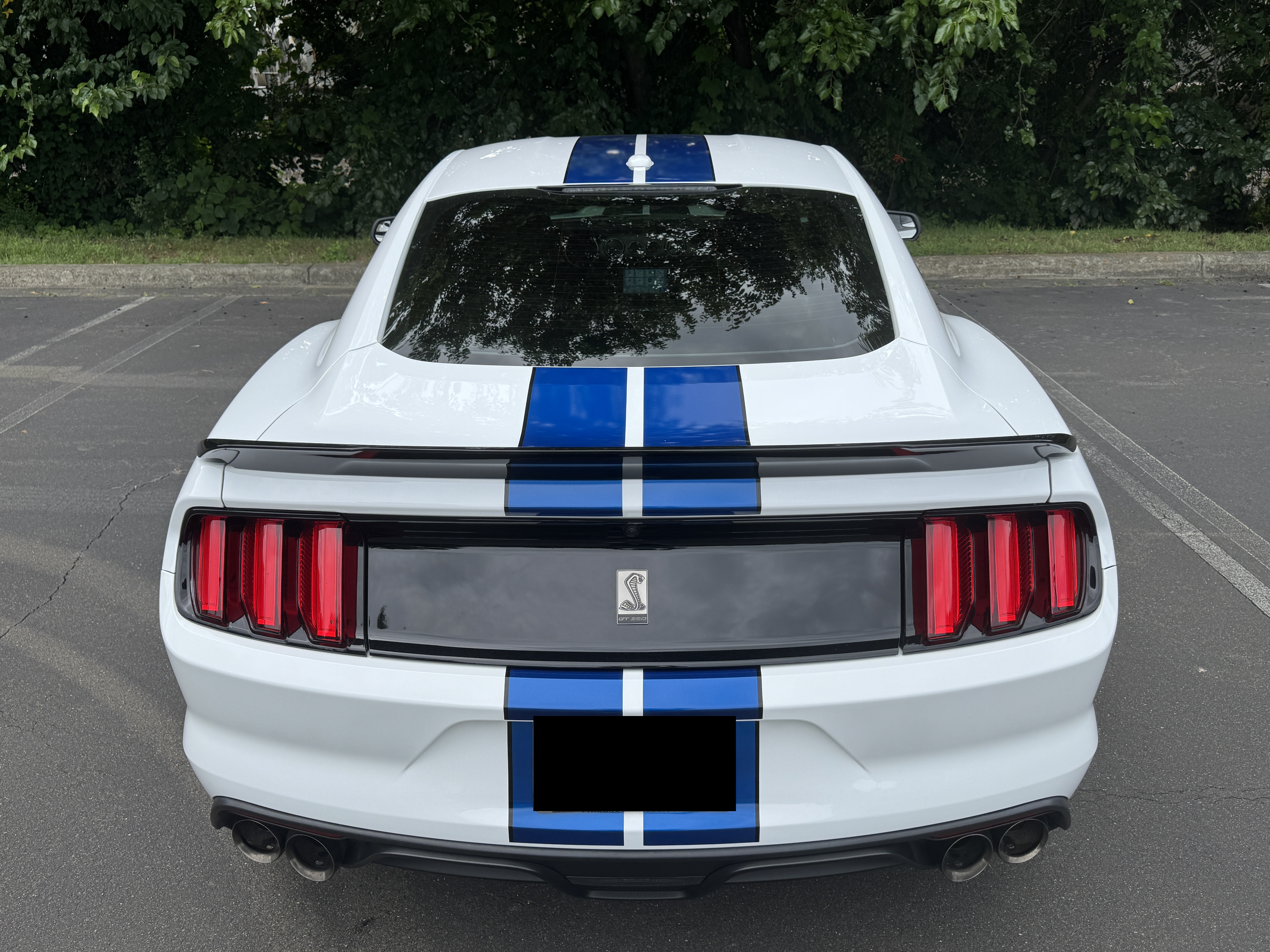 Used 2018 Ford Mustang Shelby GT350 w/ Electronics Package RWD image 11