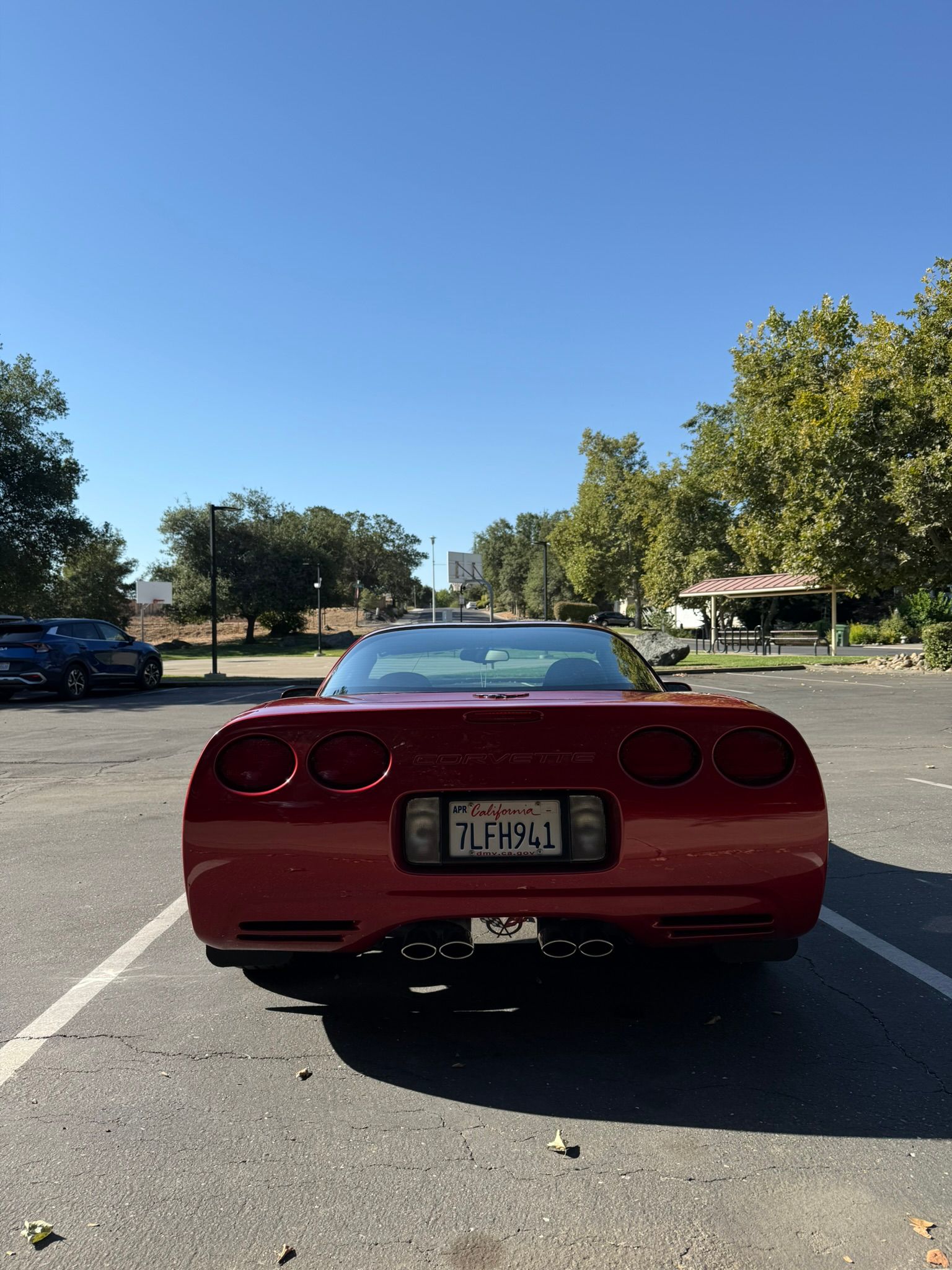 Used 1998 Chevrolet Corvette Coupe RWD image 5