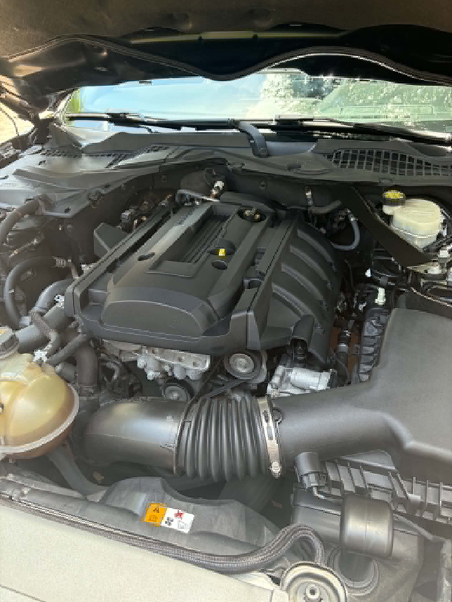 Used 2017 Ford Mustang Premium RWD image 5